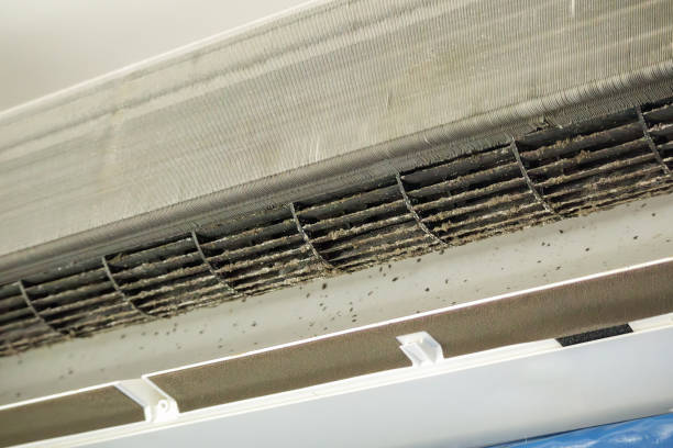 Best Affordable HVAC Duct Cleaning  in Seymour, TN